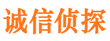 辽源市调查公司